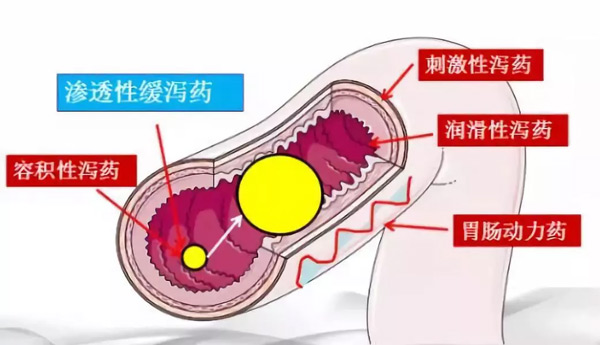 治便秘用瀉藥？你知道危害有多大嗎？