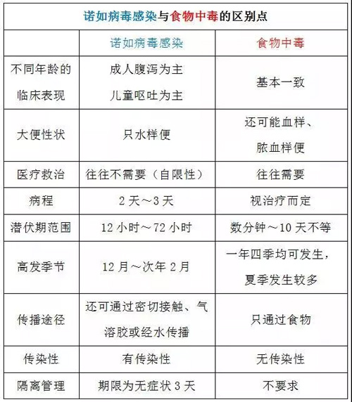 諾如病毒感染與食物中毒的區別