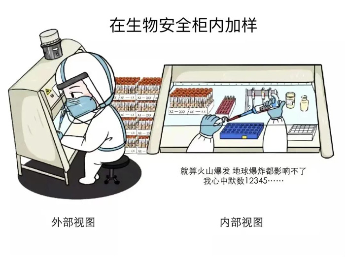 核酸結果24小時了還查不到是怎么回事呢？