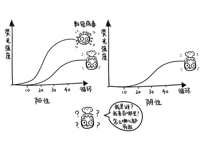 核酸結果24小時了還查不到是怎么回事呢？