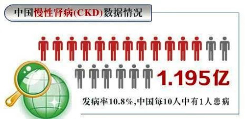 【世界腎臟日】保護腎臟健康，擁有健康體魄！