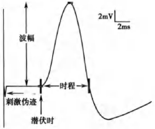 潛伏期（時）