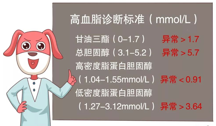 高血脂的常見問題解答