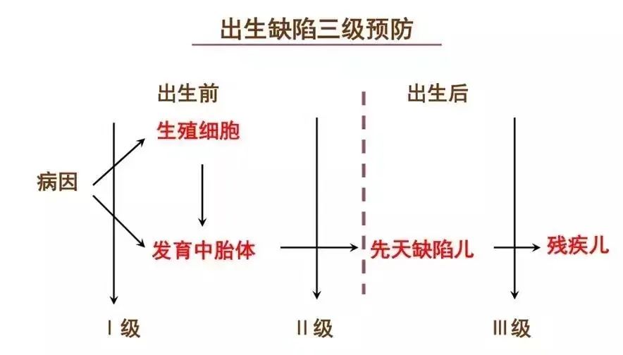 預防出生缺陷，科學健康孕育！給寶寶無”陷“未來~