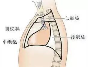 他因外傷入院，竟意外發現胸腔內隱藏著一個雞蛋大的腫物......